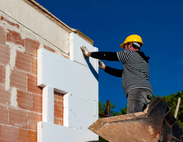 Best Insulation Maintenance and Repair in Shingletown, CA